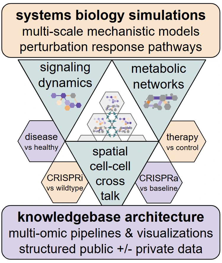 The ggomics simulation triad: systems biology simulations — multi-scale mechanistic models of perturbation response pathways — built from signaling dynamics, metabolic networks, and spatial cell–cell crosstalk. Perturbation comparisons drive the models: disease vs healthy, therapy vs control, CRISPRi vs wildtype, and CRISPRa vs baseline. Underpinning it is a knowledgebase architecture of multi-omic pipelines and visualizations over structured public and private data.