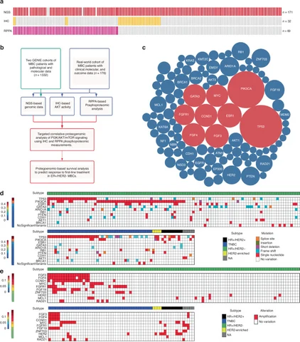 Lead figure from "Functional activation of the AKT-mTOR signalling axis in a real-world metastatic breast cancer cohort" (British Journal of Cancer, 2024)
