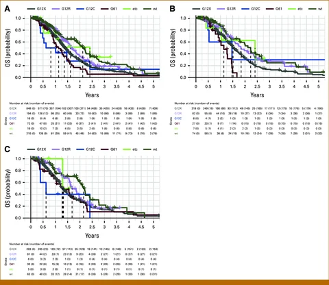 Lead figure from "Evaluating the Effect of KRAS Variants on Clinical Outcomes in Pancreatic Ductal Adenocarcinoma" (JCO Precision Oncology, 2025)