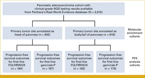 Lead figure from "Association of Pancreatic Adenocarcinoma Location With DNA Damage Response Status and Response to Platinum-Based Therapy" (JCO Precision Oncology, 2023)