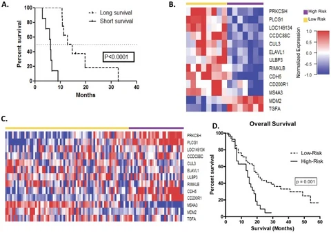 Lead figure from "A Thirteen-Gene Expression Signature Predicts Survival of Patients with Pancreatic Cancer and Identifies New Genes of Interest" (PLoS ONE, 2014)