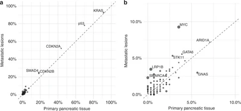 Lead figure from "Multi-omic molecular comparison of primary versus metastatic pancreatic tumours" (British Journal of Cancer, 2019)