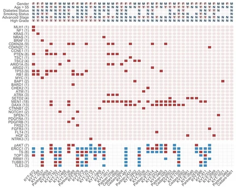 Lead figure from "Multiplatform profiling of pancreatic neuroendocrine tumors: Correlative analyses of clinicopathologic factors and identification of co-occurring pathogenic alterations" (Oncotarget, 2019)