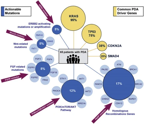 Lead figure from "A step towards personalizing next line therapy for resected pancreatic and related cancer patients: A single institution’s experience" (Surgical oncology, 2020)