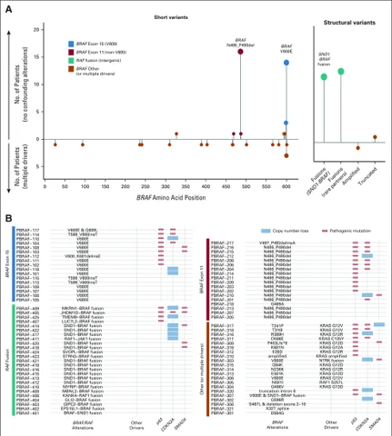 Lead figure from "Retrospective Case Series Analysis of RAF Family Alterations in Pancreatic Cancer: Real-World Outcomes From Targeted and Standard Therapies" (JCO Precision Oncology, 2021)